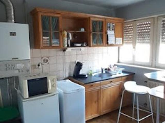 Location Appartement 2 pièces 58 m2 Ensisheim