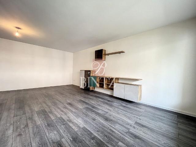 Location Appartement 2 pièces 60m² SCHILTIGHEIM 67300