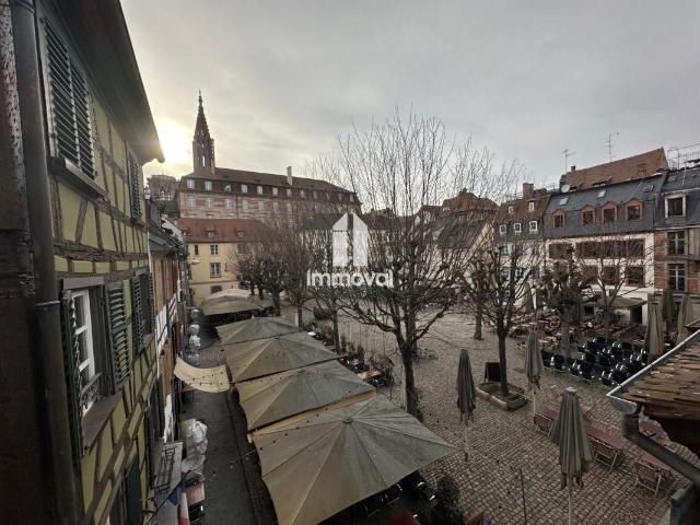 Location Appartement 2 pièces 61m² STRASBOURG 67000