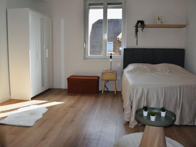 Location Appartement 2 pièces 26 m2 Schiltigheim