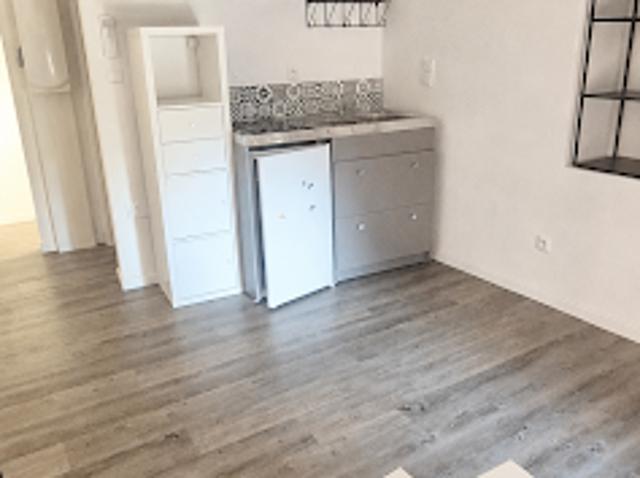 Location Appartement 2 pièces 28 m2 Lasbordes