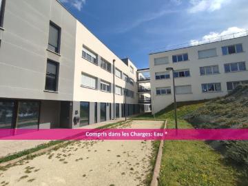 Location Appartement 2 pièces 29m² AUZEVILLE TOLOSANE 31320
