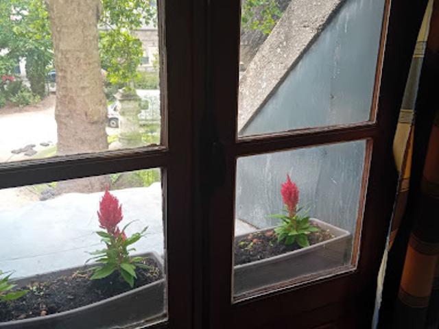 Location Appartement 2 pièces 33 m2 Sens