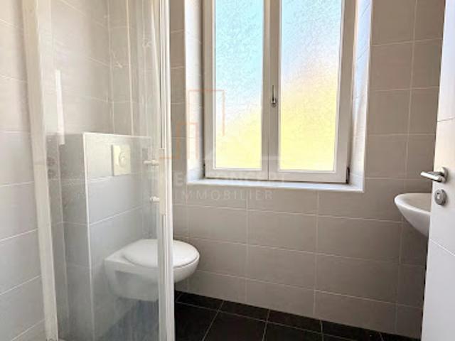 Location Appartement 2 pièces 30 m2 Wolfisheim