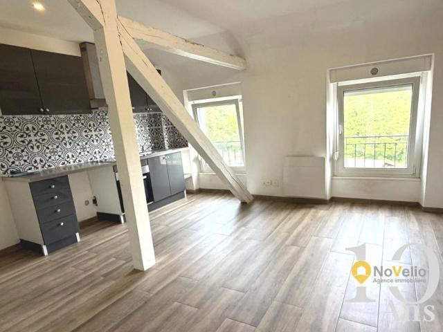 Location Appartement 2 pièces 31m² FREYMING MERLEBACH 57800