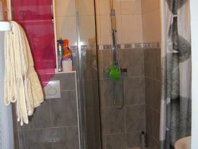 Location Appartement 2 pièces 34.02 m2 Vizille