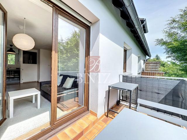 Location Appartement 2 pièces 34m² STRASBOURG 67000