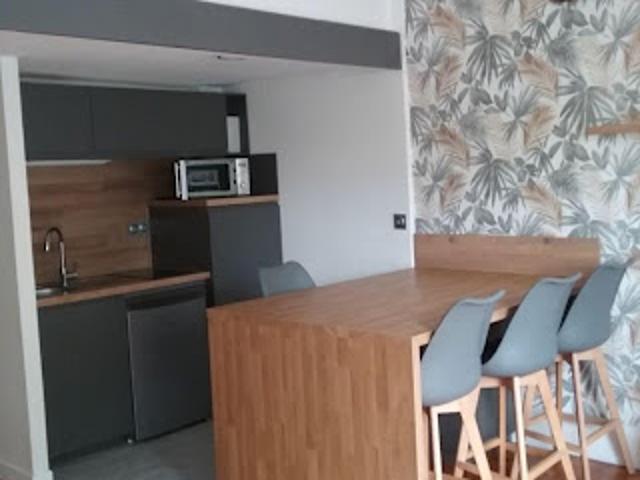 Location Appartement 2 pièces 35 m2 Saint Etienne