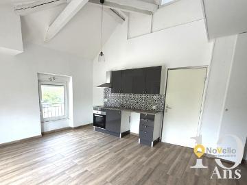 Location Appartement 2 pièces 36m² FREYMING MERLEBACH 57800