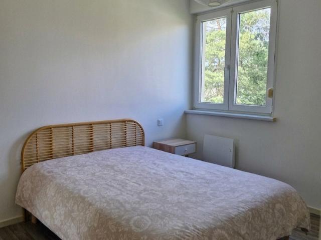 Location Appartement 2 pièces 39m² SARREGUEMINES 57200