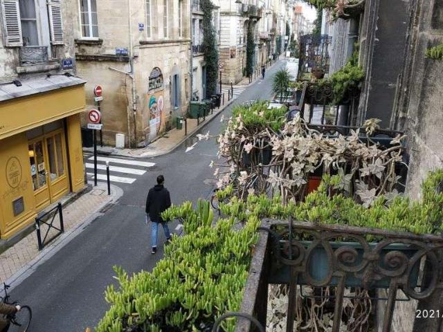 Location appartement 2 pièces Bordeaux 33
