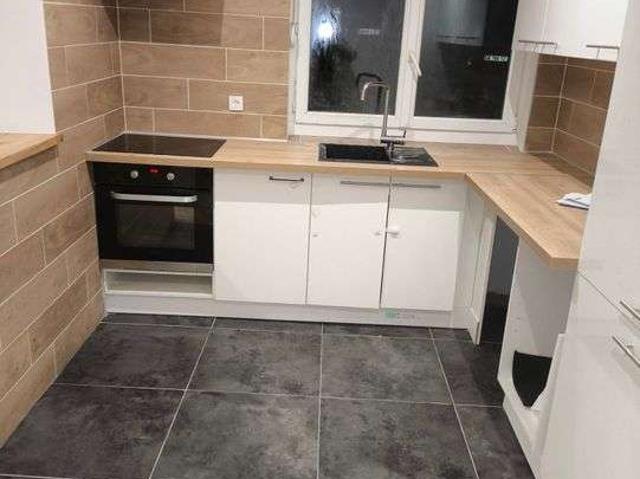 Location appartement 2 pièces Buschwiller 68
