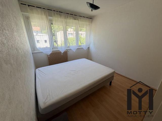 Location Appartement 2 pièces Meublé 50m² NANCY 54000