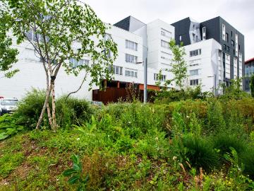 Location appartement 2 pièces NANTES 55m² à 750.82€/mois CDC Habitat