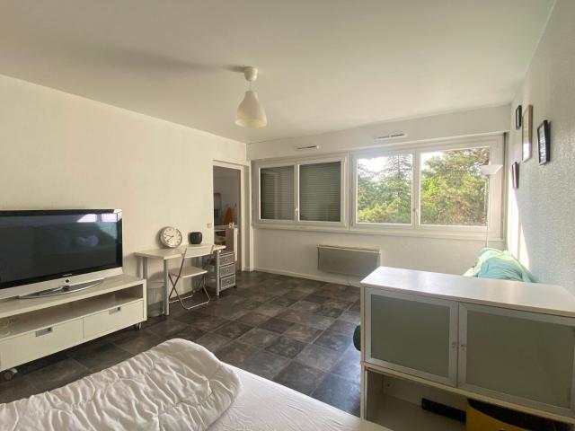 Location appartement, 39.41 m² T 1 à Villeurbanne, 800 €