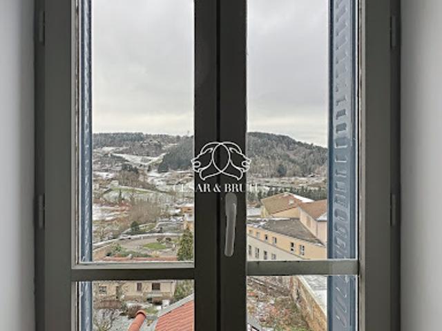Location Appartement 3 pièces 42.6 m2 Bourg de Thizy