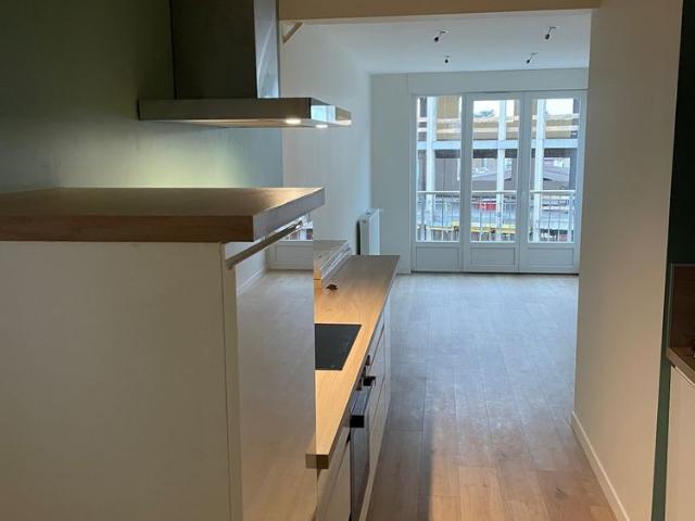 Location Appartement 3 pièces 47m² ROANNE 42300