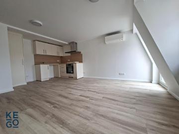 Location Appartement 3 pièces 45.56 m2 Saverne