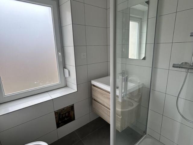 Location Appartement 3 pièces 45m² MULHOUSE 68200