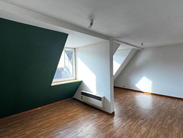 Location Appartement 3 pièces 49m² STRASBOURG 67000