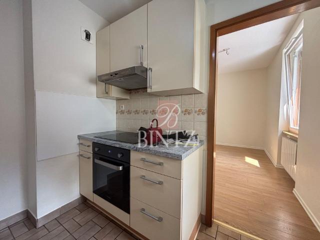 Location Appartement 3 pièces 49m² STRASBOURG 67100