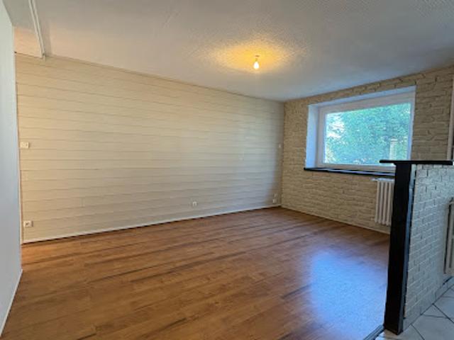Location Appartement 3 pièces 53 m2 Saint Etienne
