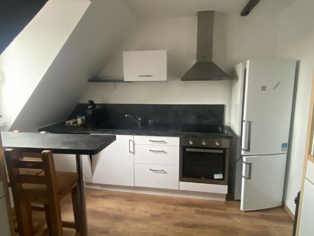 Location Appartement 3 pièces 53m² SCHILTIGHEIM 67300