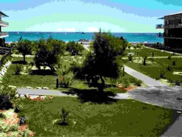 Location Appartement 3 pièces 50 m2 Frontignan