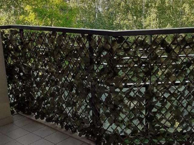 Location appartement 3 pièces, 52.66m², Massy