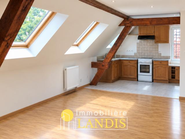 Location Appartement 3 pièces 57m² SELESTAT 67600
