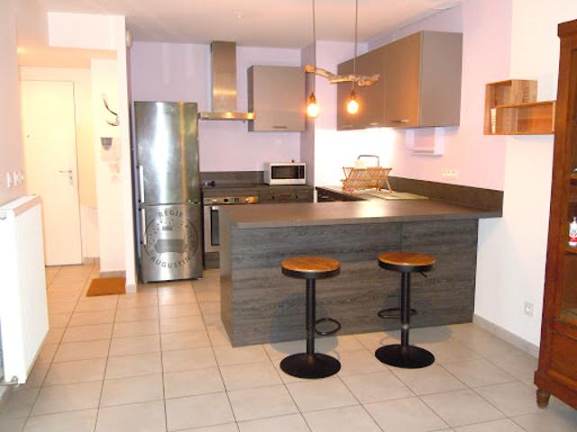 Location Appartement 3 pièces 54 m2 Lyon 8ème