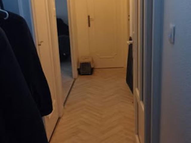 Location Appartement 3 pièces 63 m2 Argeles sur mer