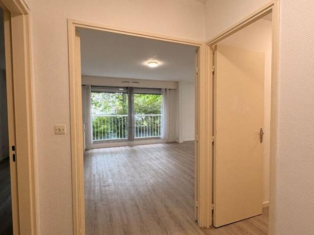 Location Appartement 3 pièces 60m²