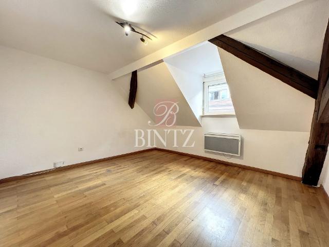 Location Appartement 3 pièces 60m² STRASBOURG 67000