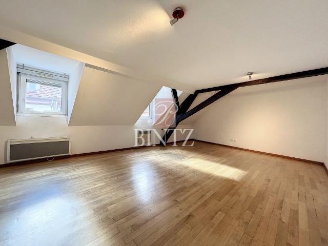 Location Appartement 3 pièces 60m² STRASBOURG 67000