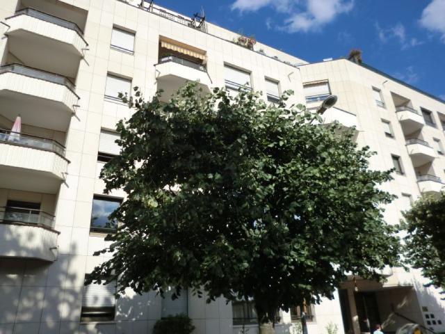 location appartement 3 pièces, 61.35m², joinville le pont