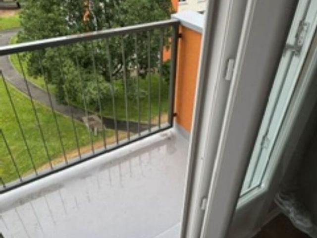 Location Appartement 3 pièces 61m²