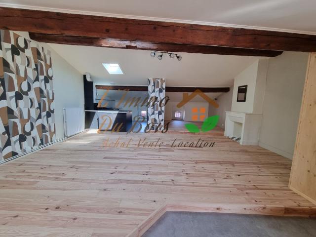 Location Appartement 3 pièces 67m² VIENNE 38200