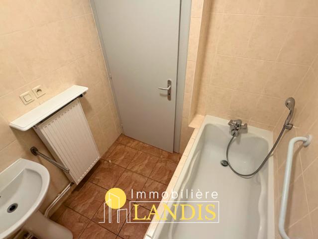Location Appartement 3 pièces 64m² SELESTAT 67600