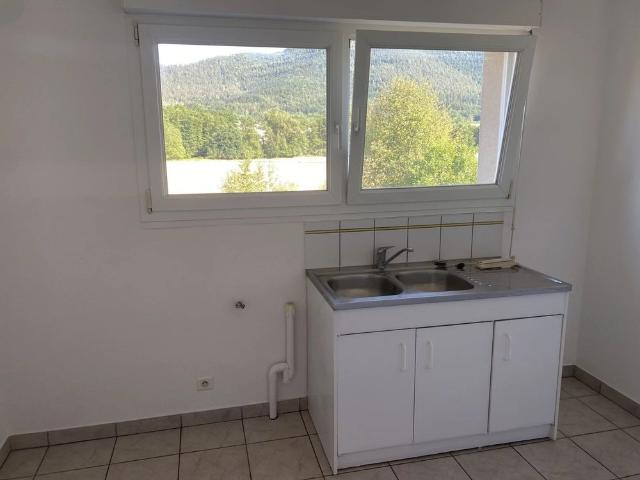 Location Appartement 3 pièces 65 m2 à Saint Dié des Vosges
