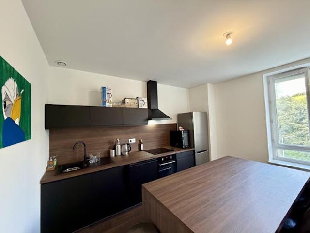Location Appartement 3 pièces 65 m2 Saint Etienne