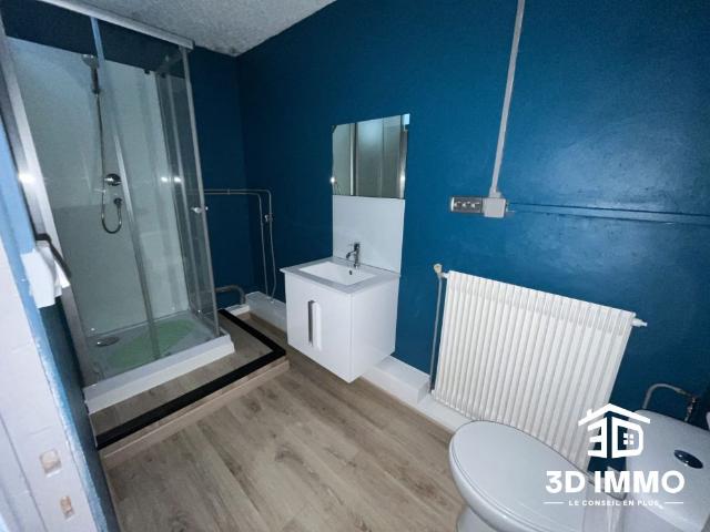 Location Appartement 3 pièces 65m² AVESNES SUR HELPE 59440