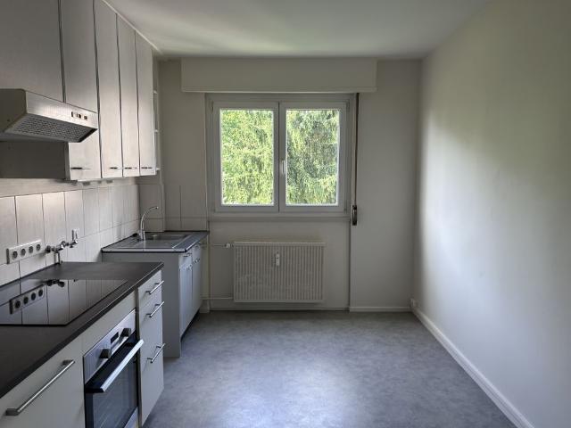 Location Appartement 3 pièces 69m² RIXHEIM 68170