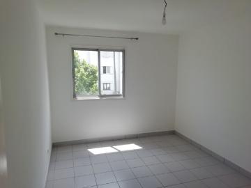Location Appartement 3 pièces 73m² MOUFIA 97490
