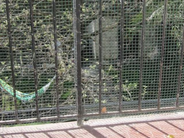 Location Appartement 3 pièces 70 m2 Marseille 5ème