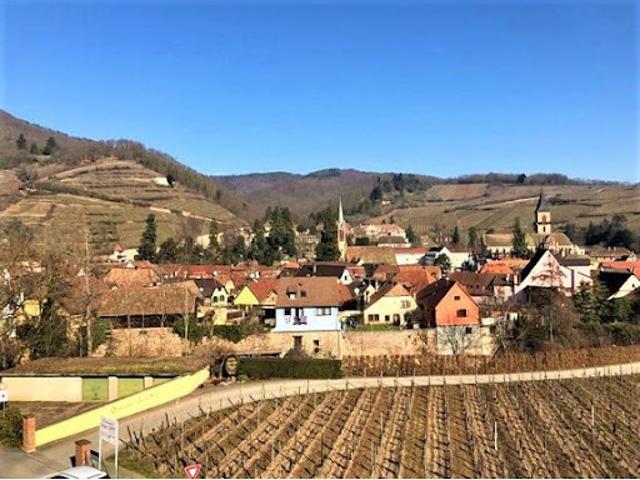 Location Appartement 3 pièces 75 m2 Ribeauville