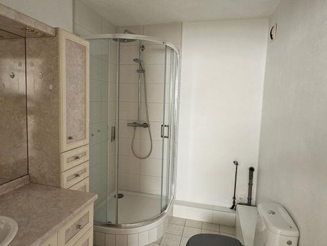 Location Appartement 3 pièces 78m² MORSCHWILLER LE BAS 68790