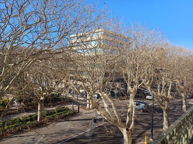 Location appartement 3 pièces, 91.54m², Sète