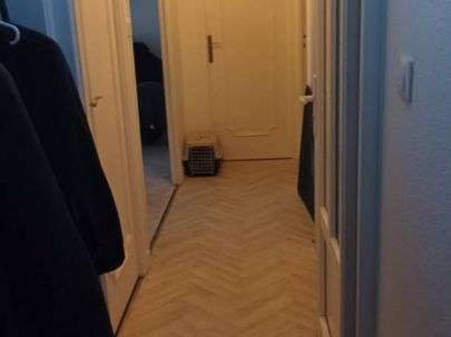 Location appartement 3 pièces Argelès sur Mer 66