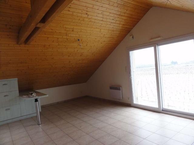 Location appartement 3 pièces Château Thébaud 44